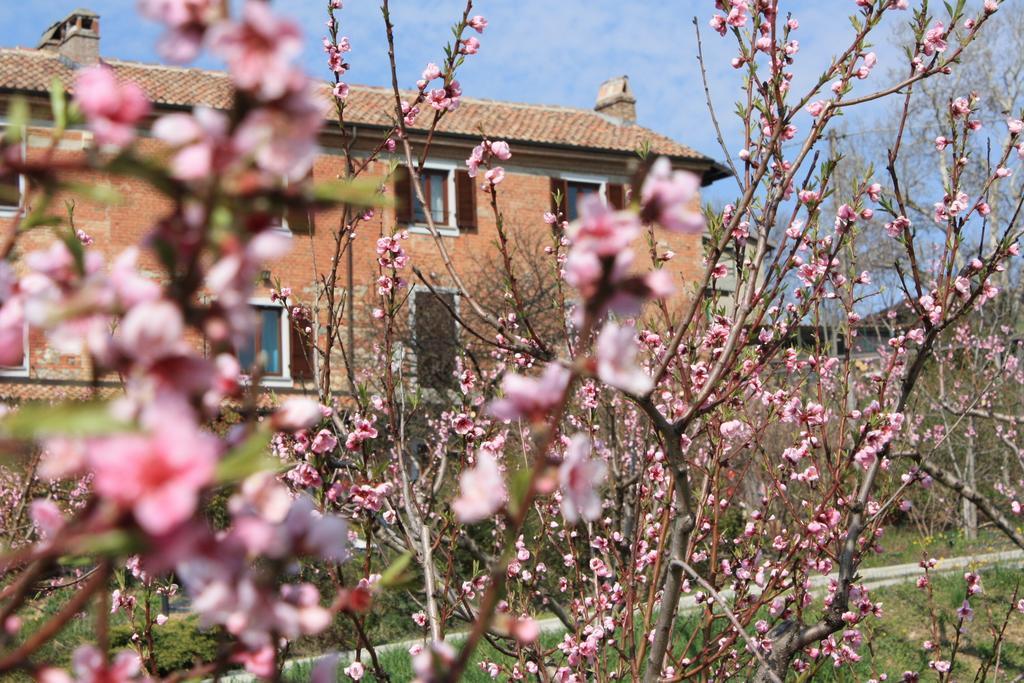 B&B Di Spineto Villaromagnano Exteriör bild